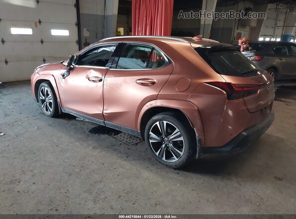 JTHUCJDH6S2003408 2025 LEXUS UX Brown უკანა მარცხენა