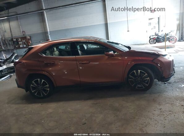 JTHUCJDH6S2003408 2025 LEXUS UX Brown უკანა სალონის ხედი