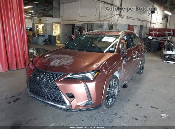 JTHUCJDH6S2003408 2025 LEXUS UX Brown წინა ხედი