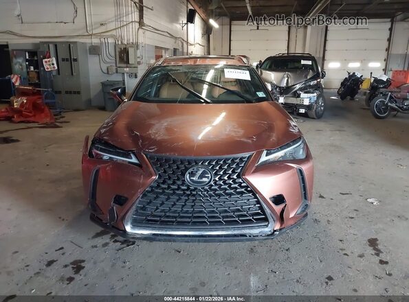 JTHUCJDH6S2003408 2025 LEXUS UX Brown ხელსაწყოთა პანელის ხედი