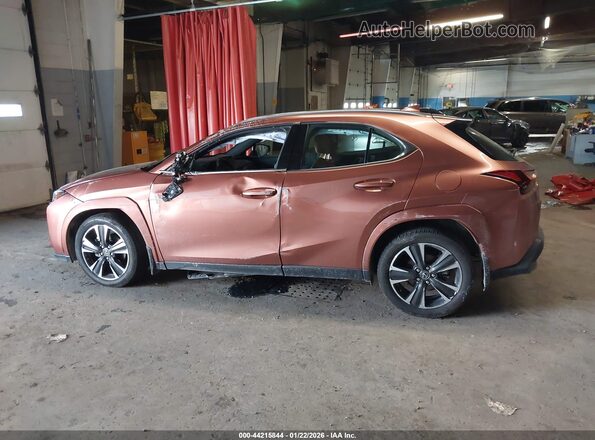 JTHUCJDH6S2003408 2025 LEXUS UX Brown სალონის 360-გრადუსიანი ხედი