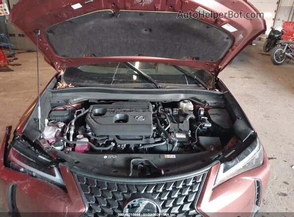 JTHUCJDH6S2003408 2025 LEXUS UX Brown უკანა ხედი
