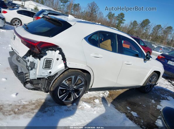 JTHUCJDH9S2008909 2025 LEXUS UX 300H White სალონის 360-გრადუსიანი ხედი