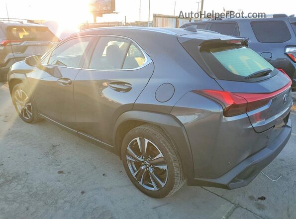 JTHX3JBH0N2049305 2022 LEXUS UX Charcoal Задня ліва чверть