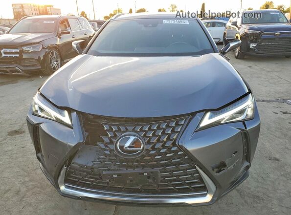JTHX3JBH3N2050870 2022 LEXUS UX Gray Rear view