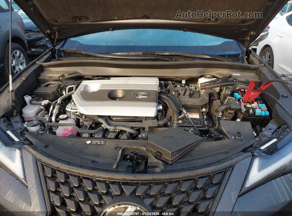 JTHX6JBH5R2168271 2024 LEXUS UX 250H Gray Rear view