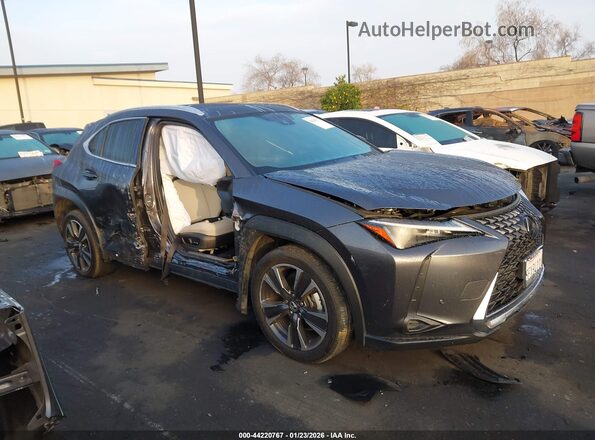 JTHX6JBH5R2168271 2024 LEXUS UX 250H Gray 360 interior view