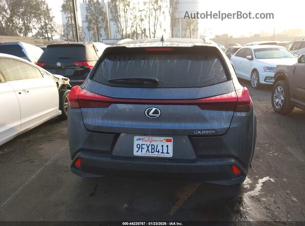 JTHX6JBH5R2168271 2024 LEXUS UX 250H Gray 