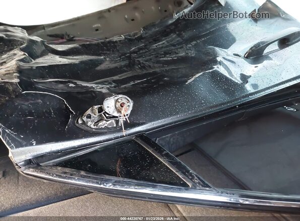 JTHX6JBH5R2168271 2024 LEXUS UX 250H Gray 