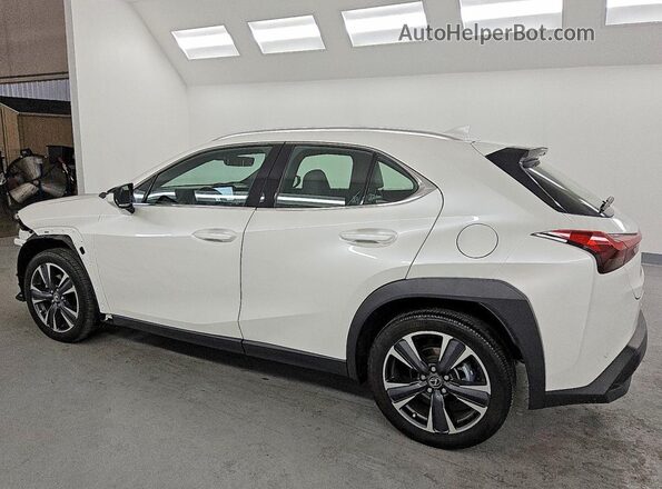 JTHX6JBH6R2187945 2024 LEXUS UX White Tył lewy