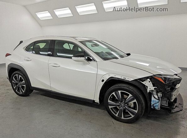 JTHX6JBH6R2187945 2024 LEXUS UX White Przód prawy