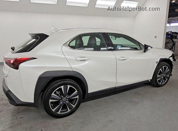 JTHX6JBH6R2187945 2024 LEXUS UX White Tył prawy