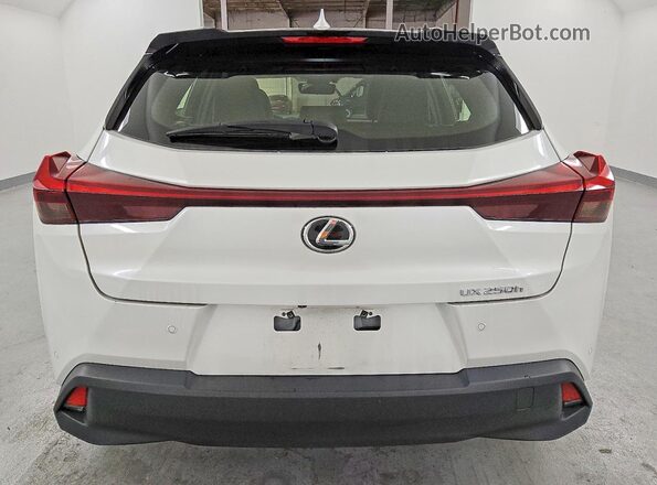 JTHX6JBH6R2187945 2024 LEXUS UX White Widok z tyłu