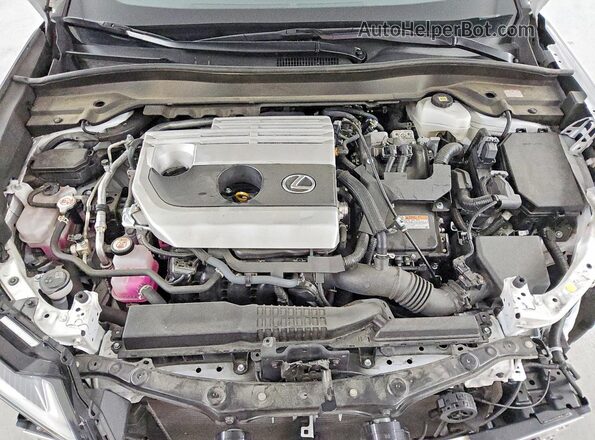 JTHX6JBH6R2187945 2024 LEXUS UX White Widok wnętrza z tyłu