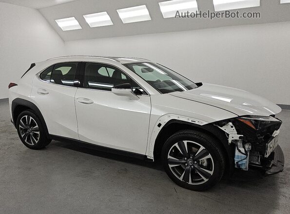 JTHX6JBH6R2187945 2024 LEXUS UX White 