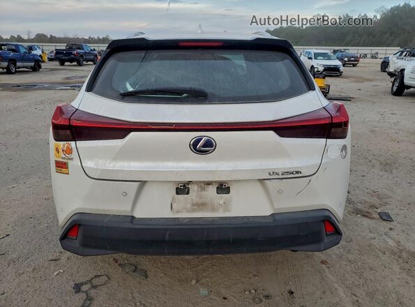 JTHX9JBH5M2042914 2021 LEXUS UX White Rear view