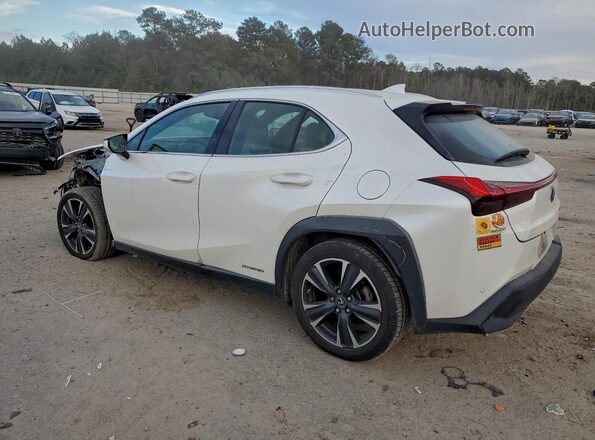 JTHX9JBH5M2042914 2021 LEXUS UX White Rear left