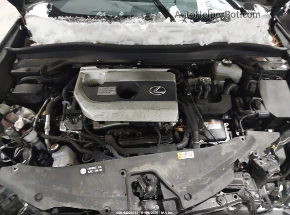 JTHX9JBH7M2052943 2021 LEXUS UX 250H Black Вид ззаду