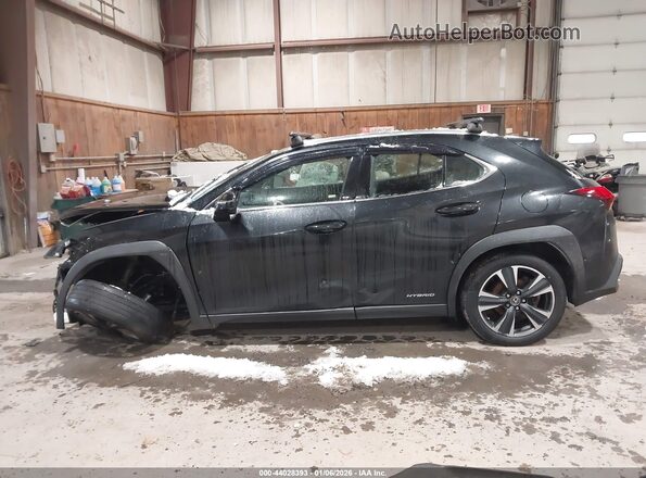 JTHX9JBH7M2052943 2021 LEXUS UX 250H Black 