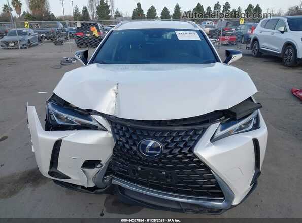 JTHX9JBH7N2056637 2022 LEXUS UX 250H White Вид спереду