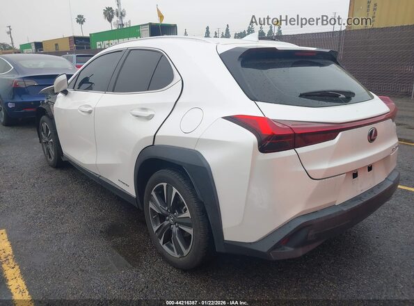 JTHX9JBH9L2035902 2020 LEXUS UX 250H White Հետևի ձախ
