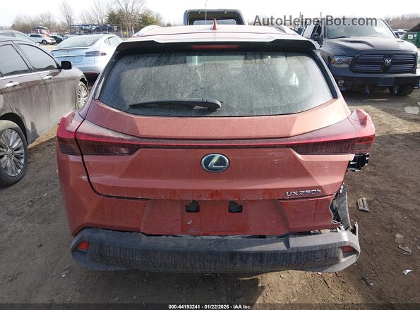 JTHX9JBHXM2038034 2021 LEXUS UX 250H Orange 