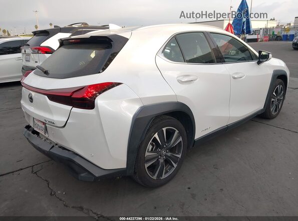 JTHX9JBHXM2042181 2021 LEXUS UX 250H White Հետևի աջ