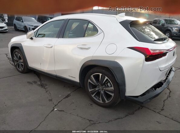 JTHX9JBHXM2042181 2021 LEXUS UX 250H White Հետևի ձախ
