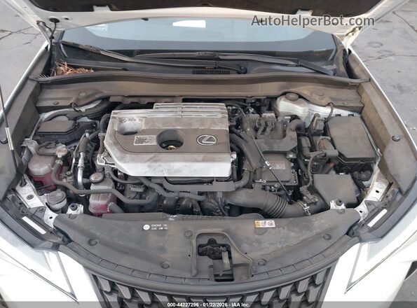 JTHX9JBHXM2042181 2021 LEXUS UX 250H White Հետևի տեսք