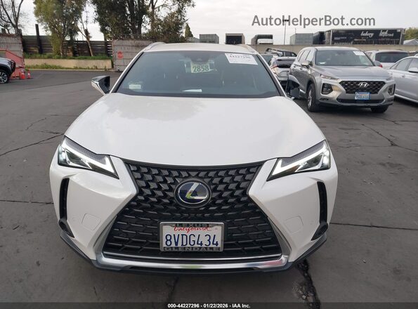 JTHX9JBHXM2042181 2021 LEXUS UX 250H White Սալոնի հետևի տեսք