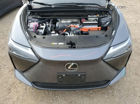 JTJAAAAB5RA025083 2024 LEXUS RZ Gray Вид задньої частини салону