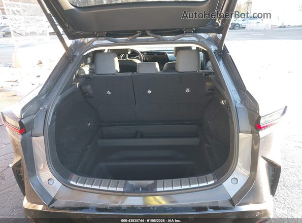 JTJAAAAB5SA031228 2025 LEXUS RZ 450E Gray 