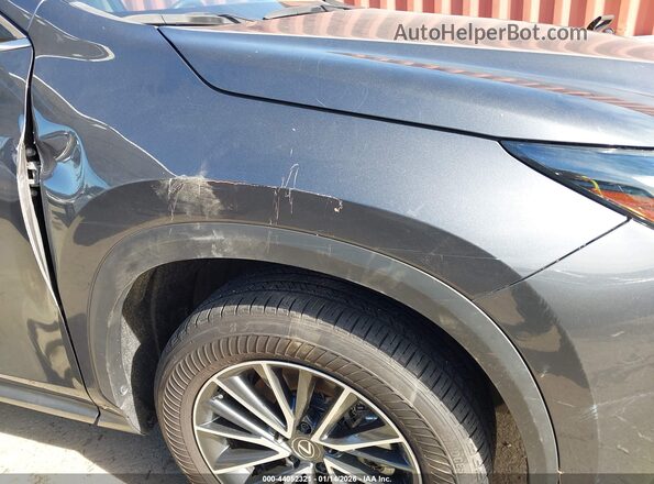 JTJADCAZ2R5013739 2024 LEXUS NX 250 Gray 