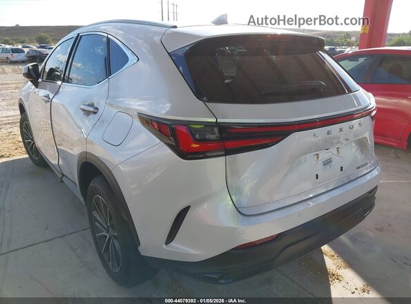 JTJADCAZ5S2022152 2025 LEXUS NX 250 White 