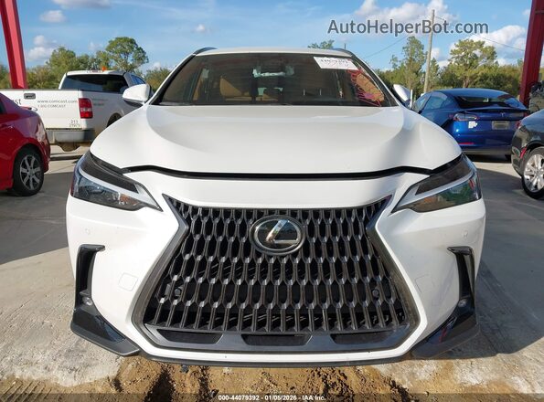 JTJADCAZ5S2022152 2025 LEXUS NX 250 White 