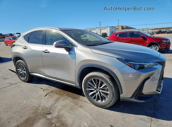 JTJADCAZ8P5010325 2023 LEXUS NX Gold 