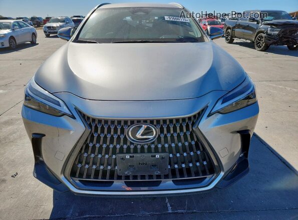JTJADCAZ8P5010325 2023 LEXUS NX Gold 