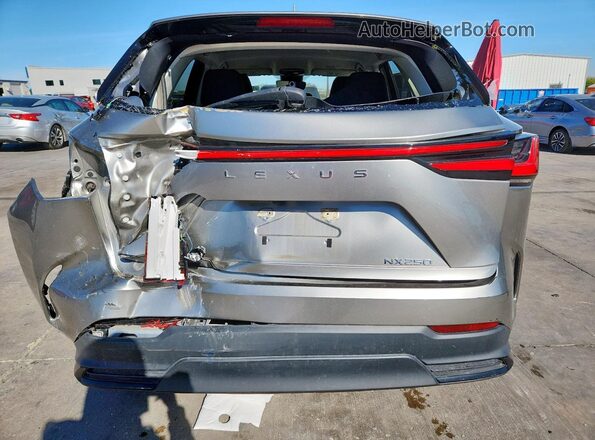 JTJADCAZ8P5010325 2023 LEXUS NX Gold 