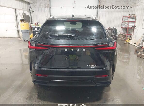JTJADCEZ3N2001833 2022 LEXUS NX 250 Черный 