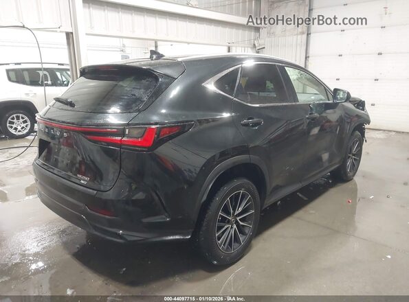 JTJADCEZ3N2001833 2022 LEXUS NX 250 Черный Задняя правая четверть