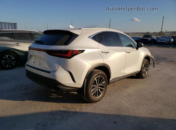 JTJAGCEZ6R2017523 2024 LEXUS NX White 