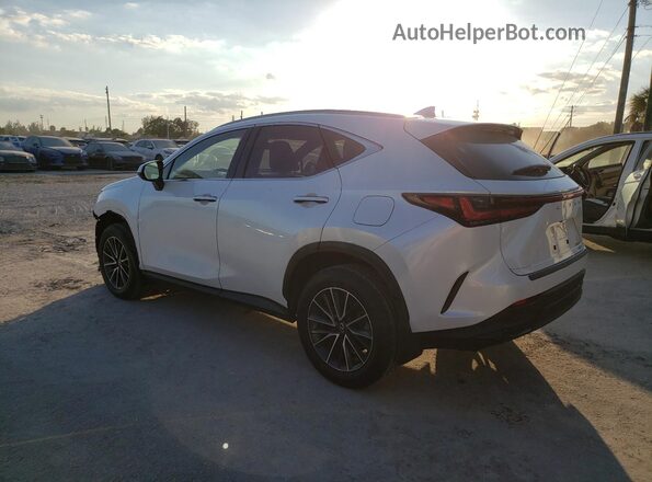 JTJAGCEZ6R2017523 2024 LEXUS NX White 