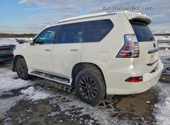 JTJAM7BX0M5269147 2021 LEXUS GX White უკანა მარცხენა