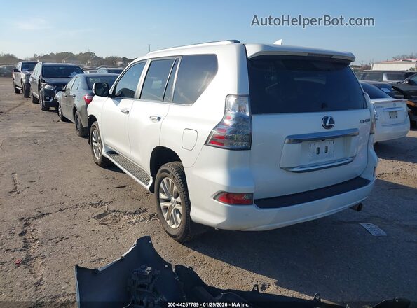JTJAM7BX0N5334967 2022 LEXUS GX 460 White უკანა მარცხენა