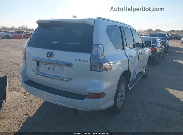 JTJAM7BX0N5334967 2022 LEXUS GX 460 White უკანა მარჯვენა