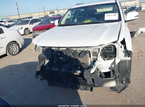 JTJAM7BX0N5334967 2022 LEXUS GX 460 White უკანა ხედი