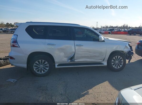 JTJAM7BX0N5334967 2022 LEXUS GX 460 White უკანა სალონის ხედი