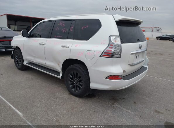 JTJAM7BX0P5346717 2023 LEXUS GX 460 White Հետևի ձախ