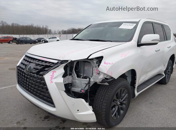 JTJAM7BX0P5346717 2023 LEXUS GX 460 White Դիմացի տեսք