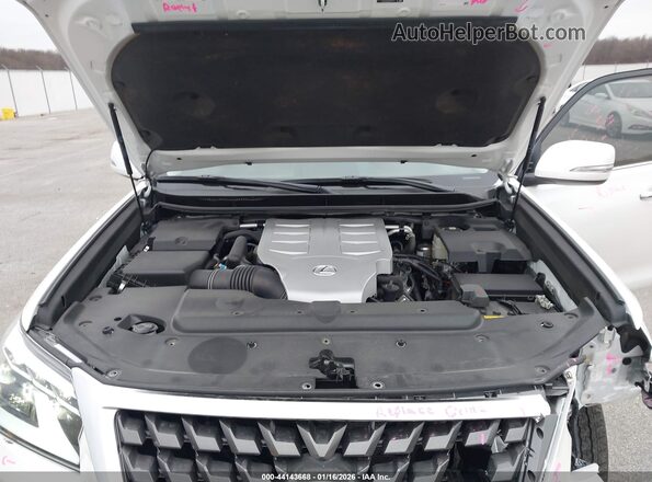 JTJAM7BX0P5346717 2023 LEXUS GX 460 White Հետևի տեսք